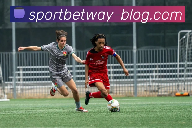 必威体育服务体系